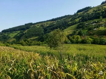 Imagem do anúncio: Vendo Fazenda / Sítio / Chácara Em Arvoredo, Santa Catarina No Bairro Interior - Cód. c48c01e68be0c6496c34125c16ccc68a