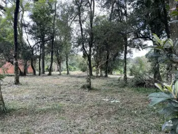 Imagem do anúncio: Vendo Fazenda / Sítio / Chácara Em Xaxim, Santa Catarina No Bairro Vila Diadema - Cód. 130565912bc41f3e6ff9d3a94ca87beb
