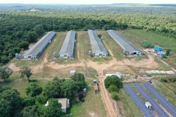 Imagem do anúncio: Vendo Fazenda / Sítio / Chácara Em Nova Mutum, Mato Grosso No Bairro Br-163 - Cód. 70cf7088644d127ab1b43027d6eab348