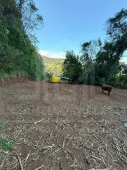 Imagem do anúncio: Vendo Fazenda / Sítio / Chácara Em Iomerê, Santa Catarina No Bairro Linha Bridi - Cód. 6b6be5544a755999d72634e6b6c17e26