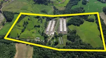 Imagem do anúncio: Vendo Fazenda / Sítio / Chácara Em Videira, Santa Catarina No Bairro Linha São Roque - Cód. 7d5131f062024f5b79a1dfd440b4d018