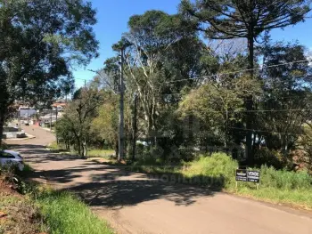 Imagem do anúncio: Vendo Terreno / Lote / Condomínio Em Videira, Santa Catarina No Bairro Alto Da Boa Vista - Cód. 9e4872706f23f33a4fb449ea6e734f5a