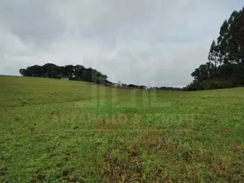 Imagem do anúncio: Vendo Fazenda / Sítio / Chácara Em Anita Garibaldi, Santa Catarina No Bairro Interior - Cód. 76f61525b676b162521af3760de11005