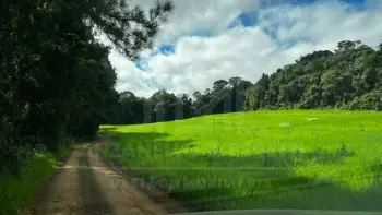 Imagem do anúncio: Vendo fazenda / sítio / chácara em Videira , Santa Catarina no bairro Linha São José - Cód. 504e4e7b14baeb289156de360fd15b65