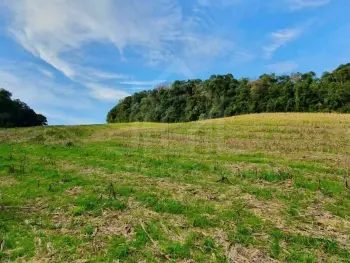 Imagem do anúncio: Vendo Fazenda / Sítio / Chácara Em Videira, Santa Catarina No Bairro Linha São José - Cód. 07d98561937c7e2d6248e3b79a8ab357