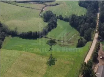 Imagem do anúncio: Vendo Fazenda / Sítio / Chácara Em Videira, Santa Catarina No Bairro Linha Passo Da Felicidade - Cód. baf88dfd301d9e0d3fdd7963f90451b1