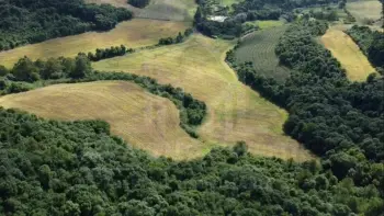 Imagem do anúncio: Vendo Fazenda / Sítio / Chácara Em Videira, Santa Catarina No Bairro Interior - Cód. 1f68bfb8517b2f0b58840fe8dcc8987c