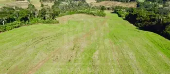 Imagem do anúncio: Vendo Fazenda / Sítio / Chácara Em Videira, Santa Catarina No Bairro Linha São José - Cód. efceb922b56375da4b7d4a4d1159c22e