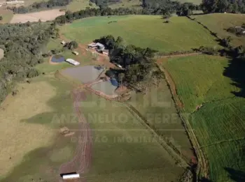 Imagem do anúncio: Vendo Fazenda / Sítio / Chácara Em Videira, Santa Catarina No Bairro Linha Santo Antonio - Cód. c29a656936a83d858ef7a1c14af847d7