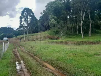 Imagem do anúncio: Vendo Fazenda / Sítio / Chácara Em Rio Das Antas, Santa Catarina No Bairro Ipomeia - Cód. fb24d36f09647aaaf14f6ac74fdc4c65