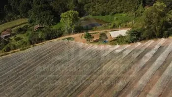 Imagem do anúncio: Vendo Fazenda / Sítio / Chácara Em Videira, Santa Catarina No Bairro Linha São José - Cód. 46e7fafe931bf80d0992125c856298cc