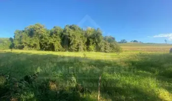 Imagem do anúncio: Vendo Fazenda / Sítio / Chácara Em Videira, Santa Catarina No Bairro Linha Monte Bérico - Cód. ec5a8c9e8da6c1e6b9dbd593a8d63134