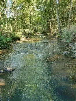 Imagem do anúncio: Vendo Fazenda / Sítio / Chácara Em Videira, Santa Catarina No Bairro Linha Rio Tigre - Cód. d5fab7728b170e6564ce574ccc85e0f6