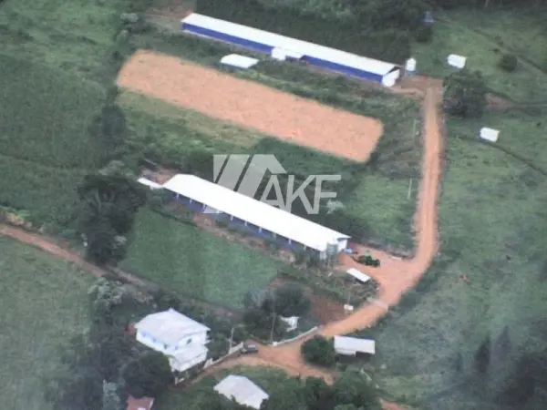 Imagem do anúncio: Vendo Fazenda / Sítio / Chácara Em Palmitos, Santa Catarina No Bairro Interior - Cód. 3a7a85247e21ebff840936ab60362ec0