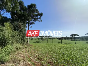 Imagem do anúncio: Vendo Fazenda / Sítio / Chácara Em Chapecó, Santa Catarina No Bairro Linha Rodeio Do Erval - Cód. d0d41cb4b10a44eaaa017e326aba67d2