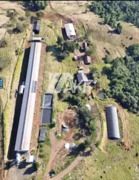 Imagem do anúncio: Vendo Fazenda / Sítio / Chácara Em Itá, Santa Catarina No Bairro Interior - Cód. a3ba1595a5fb22bef585a99b3552e685