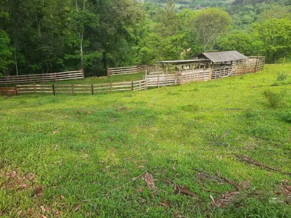 Imagem do anúncio: Vendo fazenda / sítio / chácara em Ipumirim , Santa Catarina no bairro Interior - Cód. 1c6a2d7488310c5b149d1ea136ea1f36