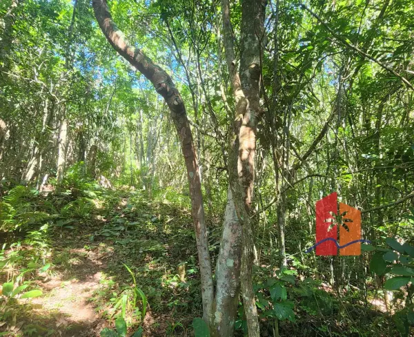 Imagem do anúncio: Vendo Terreno / Lote / Condomínio Em Garopaba, Santa Catarina No Bairro Praia Da Ferrugem - Cód. aac9aa9a508c3f68f9bcd868a3778713