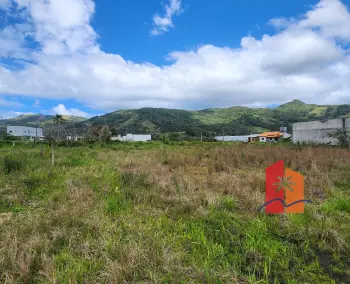Imagem do anúncio: Vendo Terreno / Lote / Condomínio Em Paulo Lopes, Santa Catarina No Bairro Areias - Cód. 0f362087fdabe04a1ec783c71e70d0cc