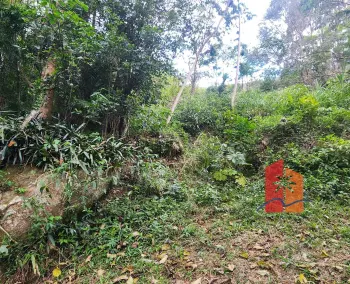 Imagem do anúncio: Vendo Terreno / Lote / Condomínio Em Paulo Lopes, Santa Catarina No Bairro Freitas - Cód. 5adca94c14f7fb5cf3a7634e7753afaf