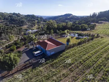 Imagem do anúncio: Vendo Fazenda / Sítio / Chácara Em Concórdia, Santa Catarina No Bairro Linha São Paulo - Cód. eed8e0fed53e6d5e10bfb504905ebb80