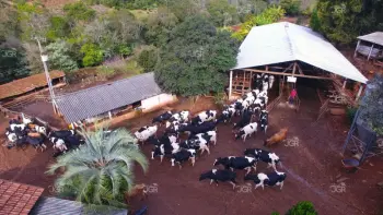 Imagem do anúncio: Vendo Terreno / Lote / Condomínio Em Concórdia, Santa Catarina No Bairro Linha Canavese - Cód. 71eec13a8637ceb323d05e3e8812bab3