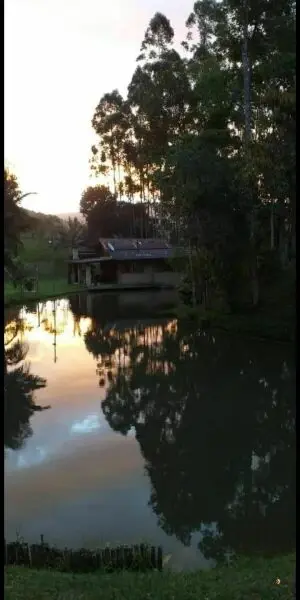 Imagem do anúncio: Vendo Fazenda / Sítio / Chácara Em Santo Amaro Da Imperatriz, Santa Catarina No Bairro Interior - Cód. e1d3393d564d62c2a9ad86154ea866be