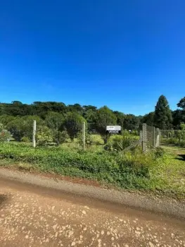 Imagem do anúncio: Vendo Fazenda / Sítio / Chácara Em Luzerna, Santa Catarina No Bairro Linha Nogueira - Cód. b63556939d1ccc76437e53457d7ef010