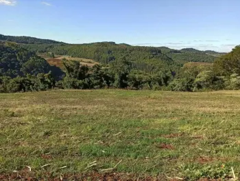 Imagem do anúncio: Vendo Fazenda / Sítio / Chácara Em Luzerna, Santa Catarina No Bairro Linha Grafunda - Cód. 58a896c8e2a8c701c91d5640cd096cd6