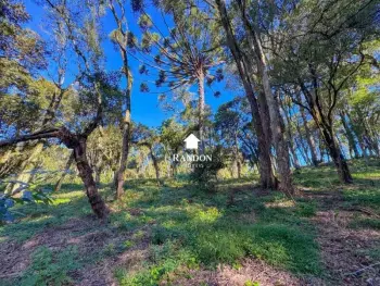 Imagem do anúncio: Vendo Fazenda / Sítio / Chácara Em Videira, Santa Catarina No Bairro Anta Gorda - Cód. b3fd98fac6ee95cd50dc495e189d0493