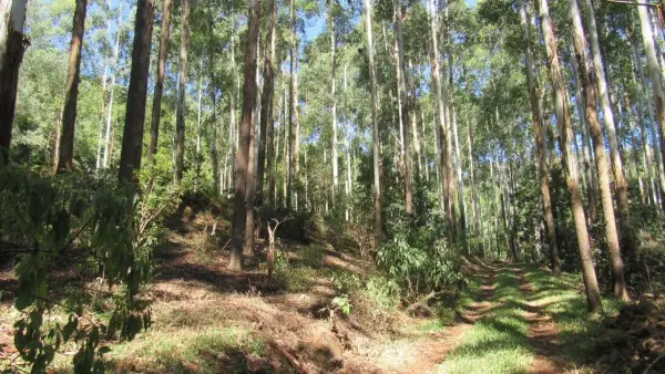 Imagem do anúncio: Vendo imóvel comercial em Jaborá , Santa Catarina no bairro Rural - Cód. 51fa0d4ae0107d23d1e4ed7fdf6e3631