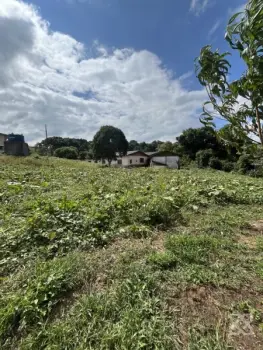 Imagem do anúncio: Vendo Fazenda / Sítio / Chácara Em Videira, Santa Catarina No Bairro Linha Lourdes - Cód. ee8914981b7ad3b689a1097f3800ba56