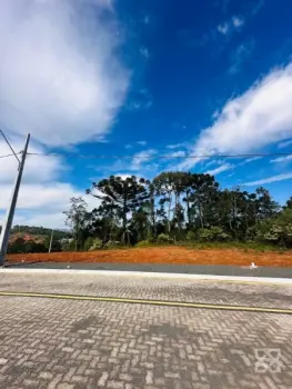Imagem do anúncio: Vendo Terreno / Lote / Condomínio Em Videira, Santa Catarina No Bairro Vinhedo - Cód. 5552949242a605c7ecc55c0e5d7bdf32