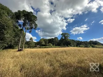 Imagem do anúncio: Vendo Fazenda / Sítio / Chácara Em Videira, Santa Catarina No Bairro Linha Monte Bérico - Cód. 3bffa84068fc67d24827f2febbde3118