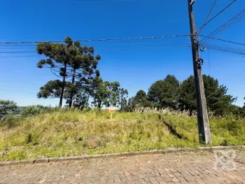 Imagem do anúncio: Vendo Terreno / Lote / Condomínio Em Videira, Santa Catarina No Bairro Quartel - Cód. 43b616687eef55b6d0dc664215561793
