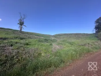 Imagem do anúncio: Vendo Fazenda / Sítio / Chácara Em Videira, Santa Catarina No Bairro Linha Santa Terezinha - Cód. 945ebffdec5794efa33aedf264b51522