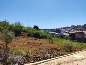 Imagem do anúncio: Vendo Terreno / Lote / Condomínio Em Fraiburgo, Santa Catarina No Bairro São Sebastião - Cód. fc7dcf3b4f3828abeda6b206e89a2140