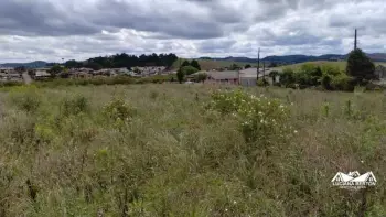 Imagem do anúncio: Vendo Terreno / Lote / Condomínio Em Monte Carlo, Santa Catarina No Bairro Santo Antonio - Cód. d1f863d186e273b631aee0f5610bb49b