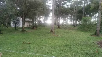 Imagem do anúncio: Vendo Fazenda / Sítio / Chácara Em Tres Barras Do Parana, Paraná No Bairro Interior - Cód. 5ba01943cf91c42d56bd10591a14f476