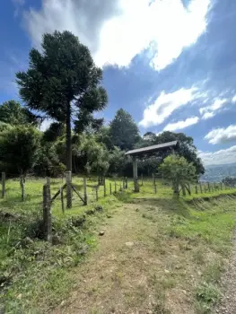 Imagem do anúncio: Vendo Fazenda / Sítio / Chácara Em Videira, Santa Catarina No Bairro Interior - Cód. f75d8a43ba4de0538847e19c6edb17fb