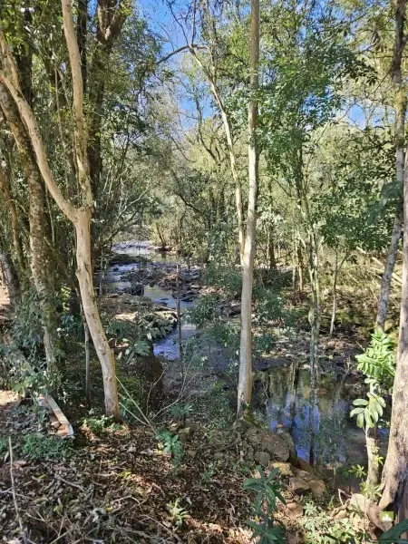 Imagem do anúncio: Vendo Terreno / Lote / Condomínio Em Ouro, Santa Catarina No Bairro Nossa Senhora Da Saúde - Cód. 4ca06a72ef6cad02263155e9c0290d09