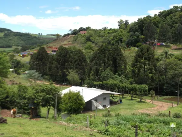 Imagem do anúncio: Alugo Casa Em Ouro, Santa Catarina No Bairro Thermas De Ouro - Cód. 002d7e738e416b7613ce075f837ee363