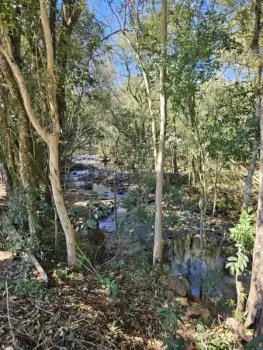 Imagem do anúncio: Vendo Terreno / Lote / Condomínio Em Ouro, Santa Catarina No Bairro Nossa Senhora Da Saúde - Cód. 4ca06a72ef6cad02263155e9c0290d09