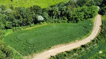 Imagem do anúncio: Vendo Fazenda / Sítio / Chácara Em Ouro, Santa Catarina No Bairro Distrito De Santa Lúcia - Cód. 6860848813d57f86733a07217e6f82f6