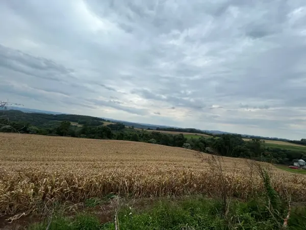 Imagem do anúncio: Vendo fazenda / sítio / chácara em Jaborá , Santa Catarina no bairro Interior - Cód. 10415b4ddef670c09e3f44661ef54e32