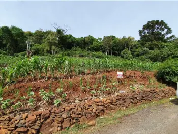 Imagem do anúncio: Vendo Terreno / Lote / Condomínio Em Joaçaba, Santa Catarina No Bairro Santa Teresa - Cód. 35f114fac70838824dca429285021eb1