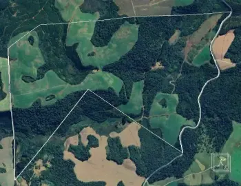 Imagem do anúncio: Vendo Fazenda / Sítio / Chácara Em Fraiburgo, Santa Catarina No Bairro Interior Linha Britador - Cód. df71714fe0d3ba96a4e6857c46ef4160
